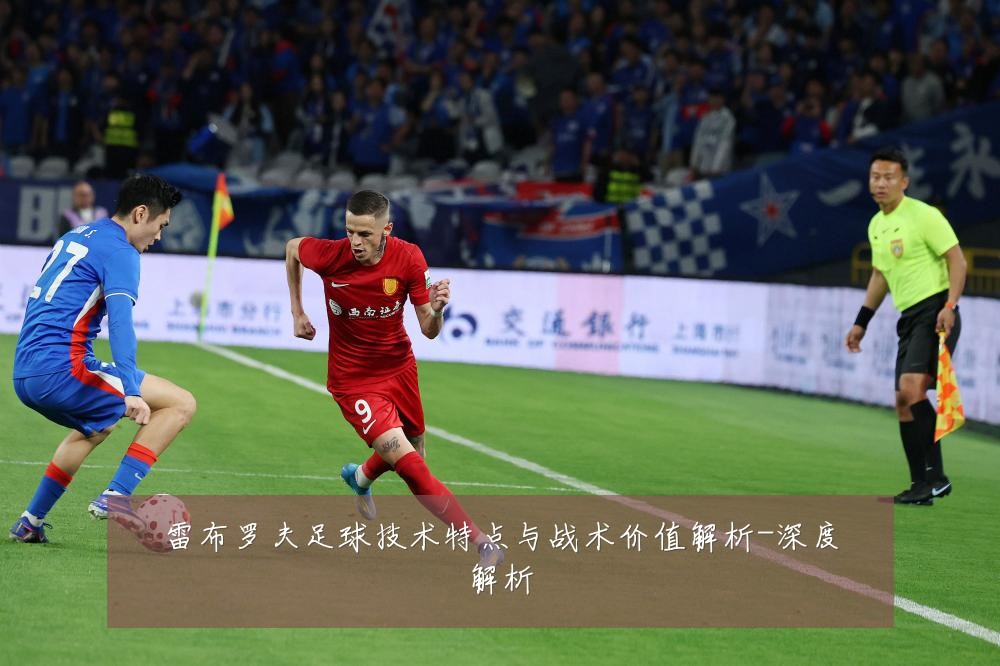 雷布罗夫足球技术特点与战术价值解析-深度解析